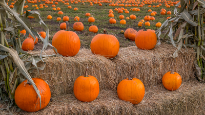 Hats For All Fall Things We Love To Do