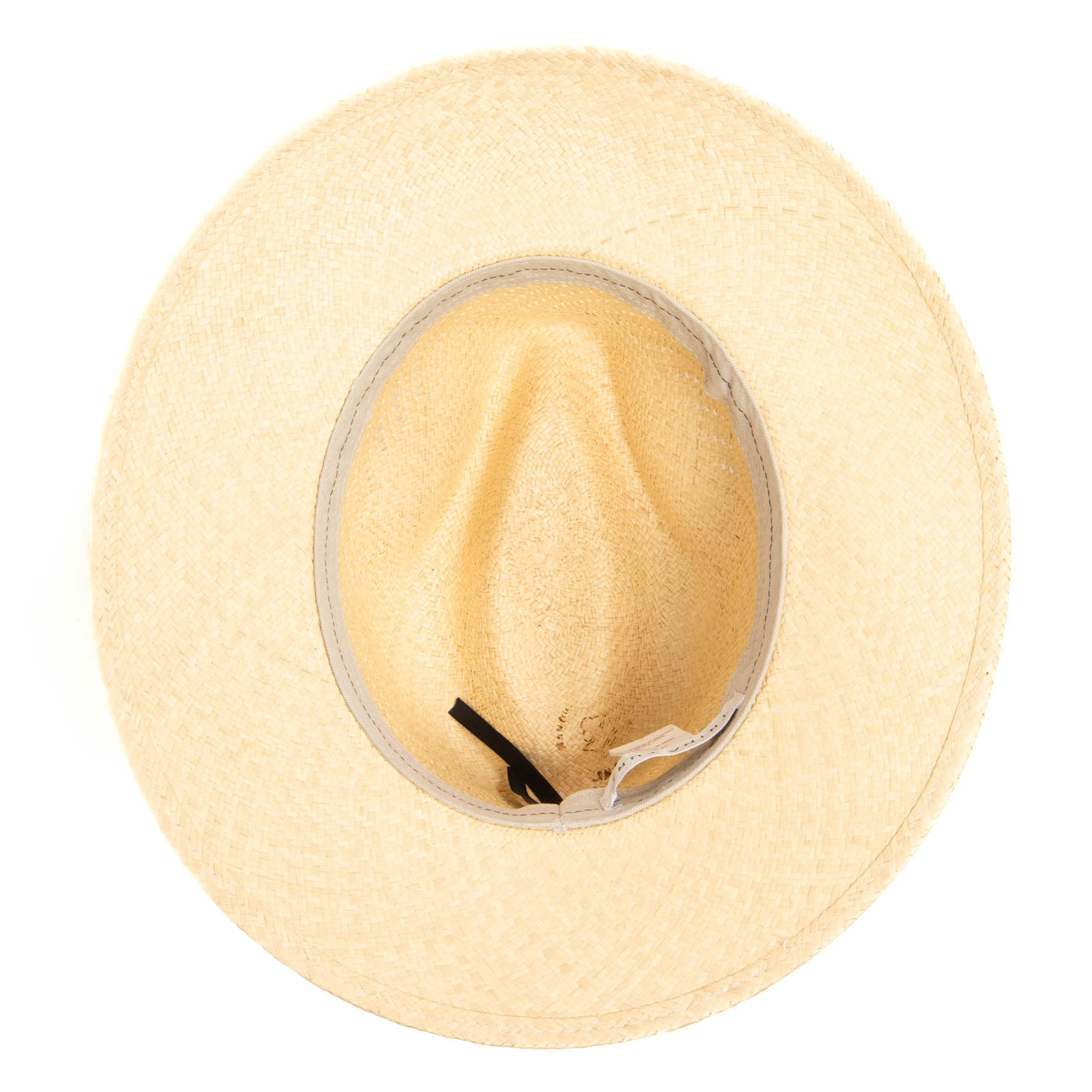 Palms Fedora by Trina Turk (TRT1006)-FEDORA-San Diego Hat Company
