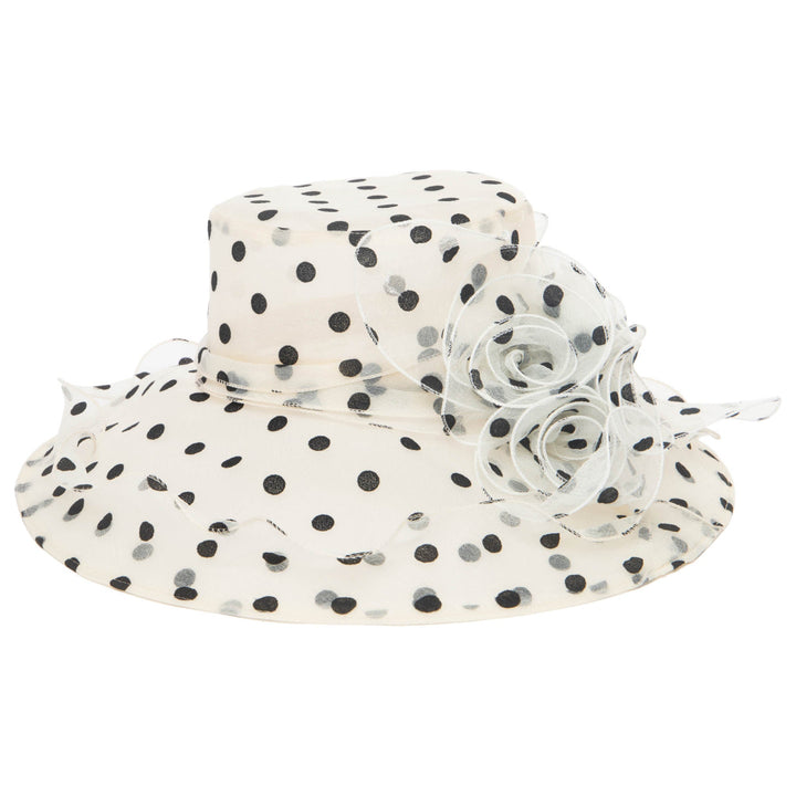 polka dot floppy hat
